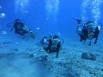 Honolulu scuba 74