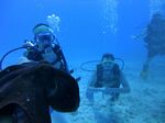 Honolulu scuba 85