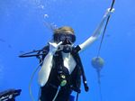 Hawaii Scuba divng 10