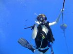 Hawaii Scuba divng 11