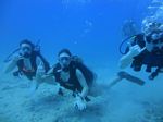 Hawaii Scuba divng 12