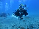 Hawaii Scuba divng 13