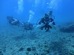 Hawaii Scuba divng 14