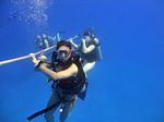 Hawaii Scuba divng 20