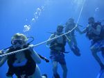 Hawaii Scuba divng 23