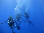 Hawaii Scuba divng 24