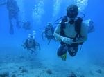 Hawaii Scuba divng 31