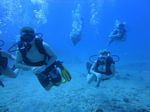 Hawaii Scuba divng 34