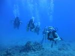 Hawaii Scuba divng 36