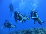 Hawaii Scuba divng 37