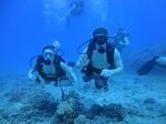 Hawaii Scuba divng 38