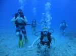 Hawaii Scuba divng 39