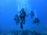 Hawaii Scuba divng 40