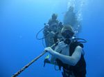 Hawaii Scuba divng 44