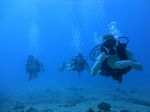 Hawaii Scuba divng 46