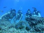 Hawaii Scuba divng 47