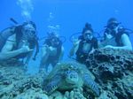 Hawaii Scuba divng 48