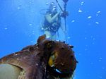 Hawaii Scuba divng 51