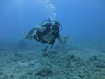 Hawaii Scuba divng 11