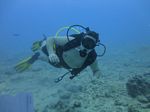 Hawaii Scuba divng 12