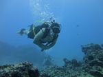 Hawaii Scuba divng 16