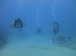 Hawaii Scuba divng 18