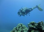 Hawaii Scuba divng 19