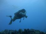 Hawaii Scuba divng 21