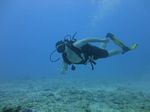 Hawaii Scuba divng 25