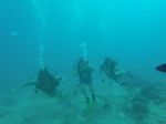 Hawaii Scuba divng 29