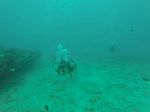 Hawaii Scuba divng 37
