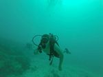 Hawaii Scuba divng 41
