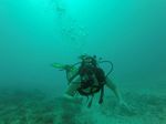 Hawaii Scuba divng 44