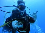 Oahu scuba 100