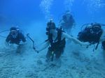 Oahu scuba 60
