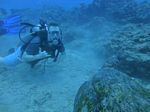 Oahu scuba 69