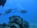 Oahu scuba 10