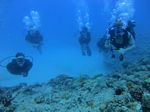 Oahu scuba 78