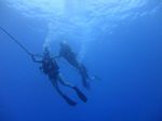 Oahu scuba 07