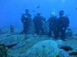 Hawaii Scuba divng 17