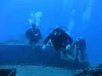 Hawaii Scuba divng 22