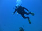 Hawaii Scuba divng 26