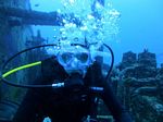 Hawaii Scuba divng 39