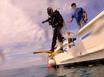 Hawaii Scuba divng 51