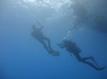 Hawaii Scuba divng 56