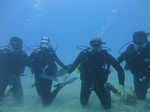 Hawaii Scuba divng 57