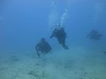 Hawaii Scuba divng 58