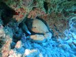 Hawaii Scuba divng 60