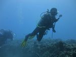 Hawaii Scuba divng 62