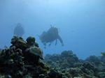 Hawaii Scuba divng 65